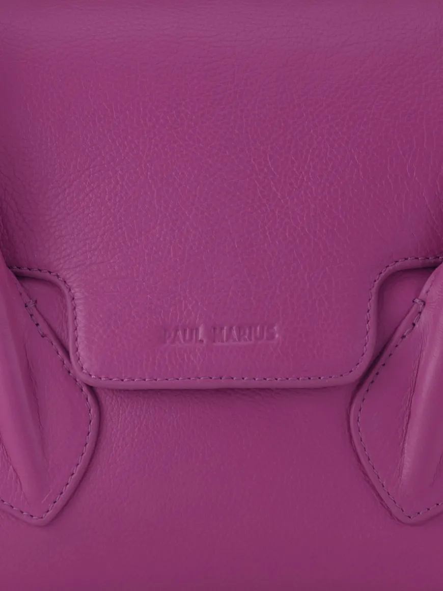 Colette S Sorbet - Cassis